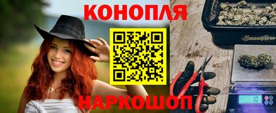 прущие крисы Камышлов