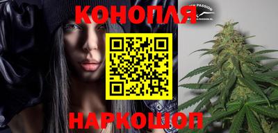 прущие крисы Камышлов